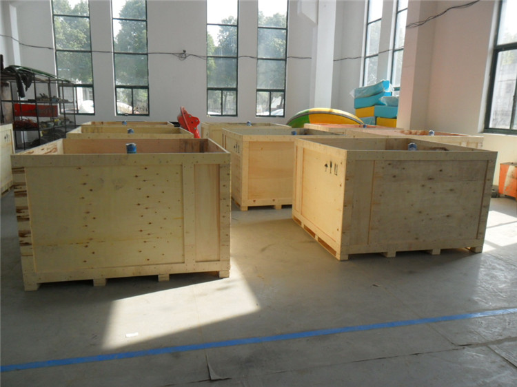 Fwu-long Bumper Car Packaging